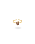 Anillo Musa