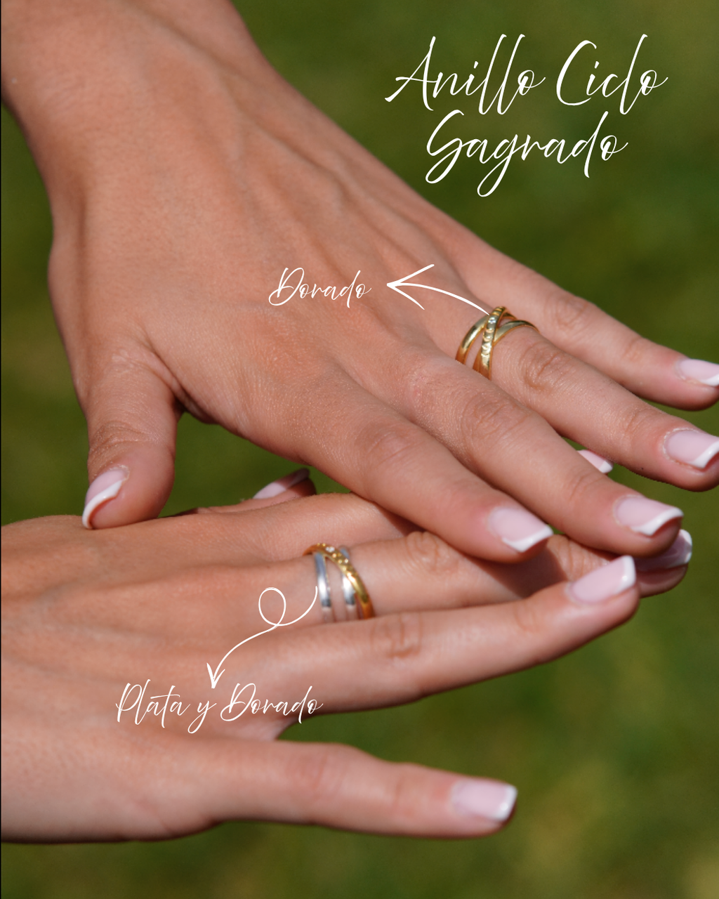 Anillo Ciclo Sagrado